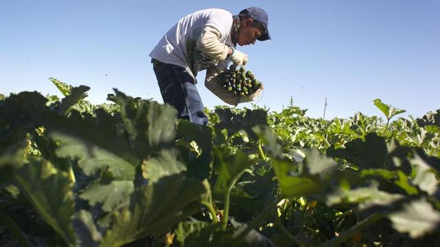 Signs point to weaker labor market