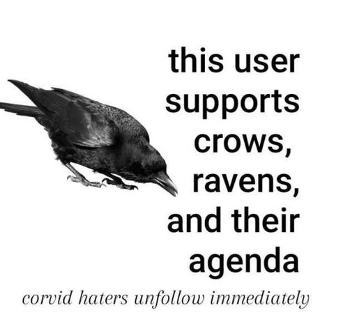 This user supports crows, ravens, and their agenda.