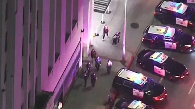 LAPD has made nearly 400 arrests and detentions since Saturday