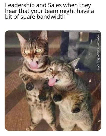 Two cats licking the window as we see through it.

Caption: Leadership and Sales when they hear that your team might have a bit of spare bandwidth