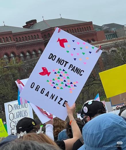 A person holding a sign in a crowd of protesters that says, "Do not panic, organize!"