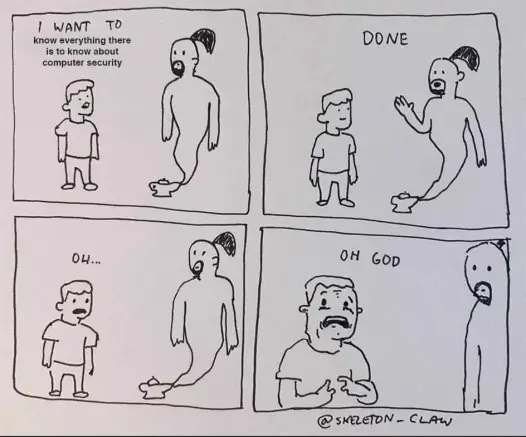 a 4 panel cartoon drawn in basic black and white.  A young person (YP) is asking a Genie for a whish

Pane 1:  YP:  I want to know everything there is to know about computer security
Pane 2:  Genie:  Done!
Pane 3: YP:  oh...
Pane 4: YP: oh god  (feeling the terror of the knowledge)
