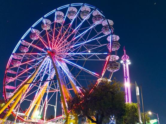 A large illuminated Ferris wheel dominates the night scene, its white circular structure outlined in bright blue LED lights with red accents radiating from the center hub like spokes. The passenger gondolas glow with warm pinkish lighting. Yellow support columns anchor the wheel’s base. To the right, a tall carnival ride tower stretches upward with purple and pink neon lighting. The scene is set against a deep twilight blue sky, with carnival grounds visible below featuring trees, pathways, and additional ride structures. The overall atmosphere captures the vibrant, festive energy of a nighttime amusement park or county fair, with the colorful illumination creating a striking contrast against the darkening sky.​​​​​​​​​​​​​​​​