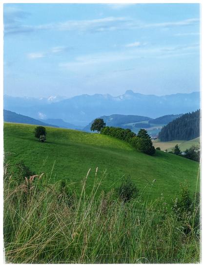 Green field with some trees. In the background a mountain range.