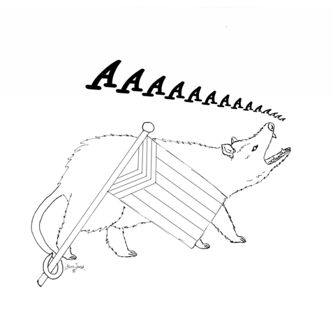 a black and white line drawing of a screaming Opossum holding a progress pride flag with its tail.