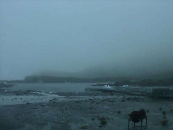 View from the Bird Island research station.
