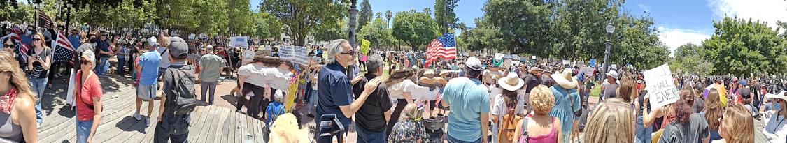 A panoramic photo of a huge, varied crowd of protesters outdoors, holding a variety of signs and flags.