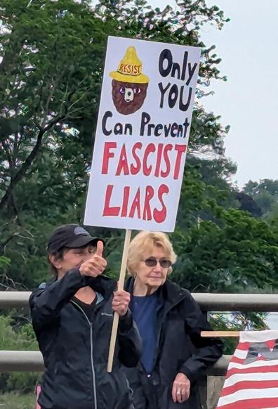 A woman holds a sign, attached to a handle. The sign says "Only you can prevent fascist liars."