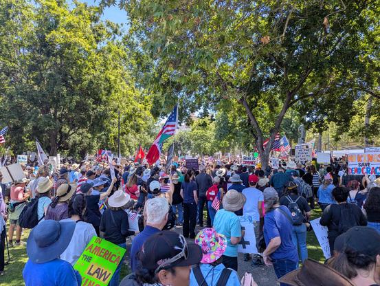 A large crowd pictured from within, the phone held high in the air to see. Lots of flags and signs are visible advocating for various causes including "No Kings" and supporting immigrant communities against ICE.