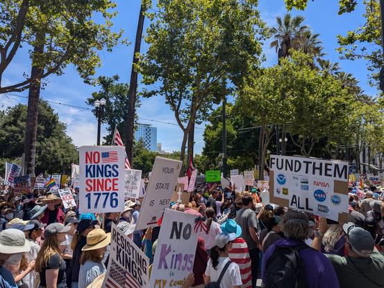 A large crowd pictured from within, the phone held high in the air to see. Lots of flags and signs are visible advocating for various causes including "No Kings" and supporting immigrant communities against ICE.