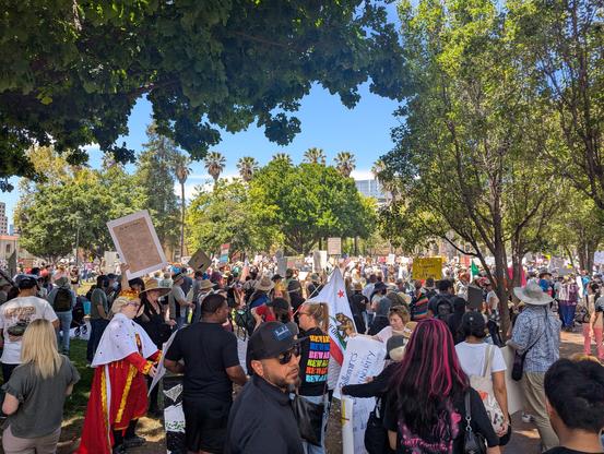 A large crowd pictured from within, the phone held high in the air to see. Lots of flags and signs are visible advocating for various causes including "No Kings" and supporting immigrant communities against ICE.

One individual in particular is dressed up like a medieval king.