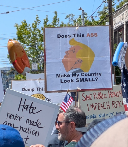 during the march, somebody carries a sign with a cartoonish profile of the so-called president; the words ask, "does this ass make my country look small?"
