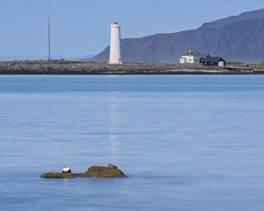 Grotta lighthouse on a sunny day.  The sea is calm and two ducks are sleeping on a little rock in the sea.