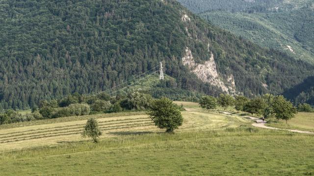 Long lens photo of a grassy almost flat landscape with some scattered trees. There is a narrow winding asphalt road going through it to the forest-covered mountains in the background.
