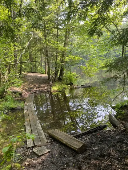 A walkway over a stream next the a larger river. There are trees everywhere, and the scene is very green and tranquil.
