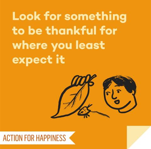 Look for something to be thankful for where you least expect it