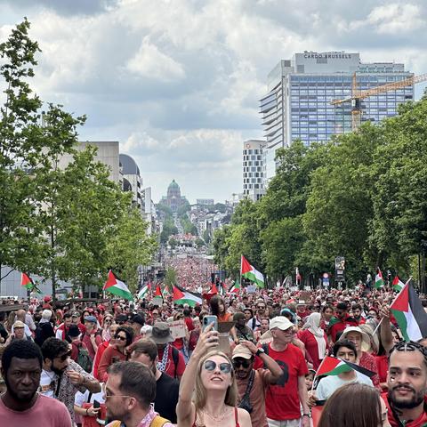 A massive demonstration of red-clad people extending far into the distance. In the front centre, a woman takes a selfie with the demo. Some trees and tall buildings to the side. A domed building, the Brussels Justice Palace, in the far distance centre