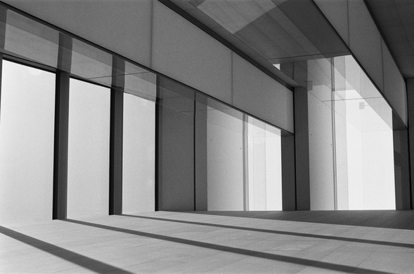 Windows and skylights at Apple Park in Black and White