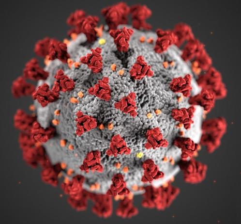 Model of the COVID-19 virus.