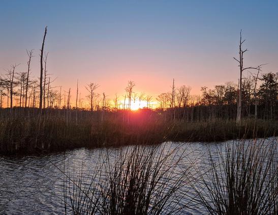 Firey, humid sunrise over a wetland landscape and waterway with hot shades of red, orange,  and yellow rising beyond a vast field of reeds, grasses, and barren trees while the glowing sun rises into the blue morning sky above the shimmering water below.