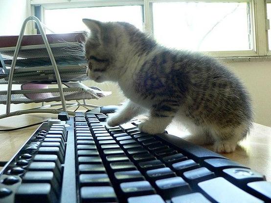 A small kitten with gray and white fur is standing on a black computer keyboard, pressing one of the keys with its paw. The kitten is positioned on a wooden desk, with a window in the background allowing natural light to enter the room. To the left of the kitten, there is a metal wire rack holding several folders and papers. The keyboard is a standard layout, with keys visible in black and white. The kitten appears curious and is focused on the keyboard, with its head slightly lowered and eyes intently looking at the keys. The overall scene suggests a playful interaction between the kitten and the keyboard.

Provided by @altbot, generated privately and locally using Ovis2-8B