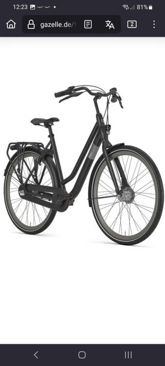 Gazelle Esprit 7 for a tall guy, any opinions?