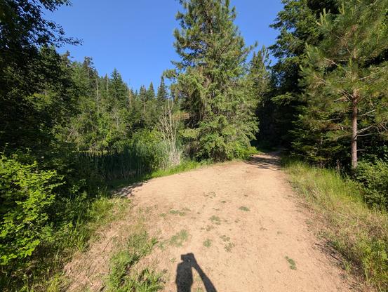 we're mixing it up with today's picture instead of our go-to look over the valley. this is Us coming up the Lincoln side. Canfield gulch meeting up with the fire pond. is a wide-angle shot and you can see my shadow at the bottom holding the camera. the grass shoots are blocking the view of the pond as they have gotten quite tall. the sky is clear. the air still holds a little cool and the sun is out.