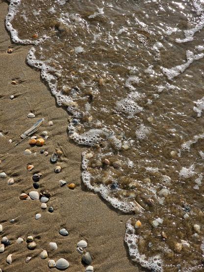 Bottom left corner shows small sea shells and stones buried partly in wet sand.  From top right corner there is some water   flowing towards the sandy area. There is some foam in the water