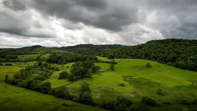 aerial shot of fields and woodland