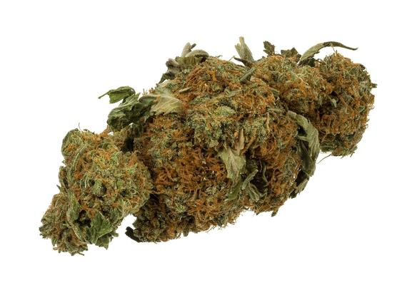 Marijuana bud