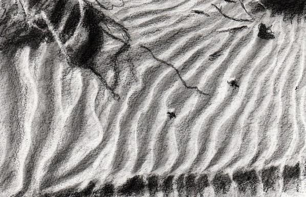 Sketch in graphite of wind patterns in sand.