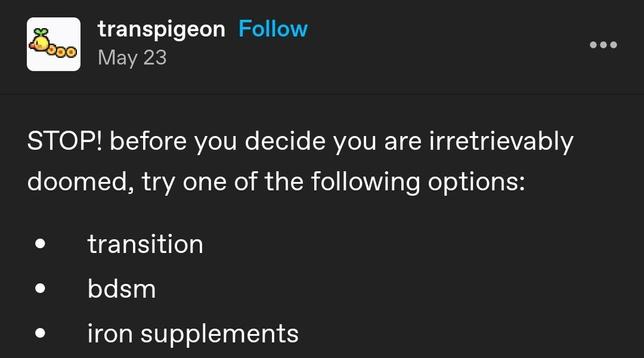 tumblr screenshot from transpigeon
STOP! before you decide you are irretrievably doomed, try one of the following options:
- transition
- bdsm
- iron supplements