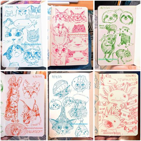 Compilation of 6 photos of sketchbook pages. Top row consists of sketches of various animals (capybara, owl, cats, axolotl, etc.), Cats and various wild animals (sloth, mouse deer, anteater, tarsier, and jerboa). Bottom row consists of drawings of wild cats (serval, sand cat, caracal, and pallas's cat), cats in hats, and axolotls.