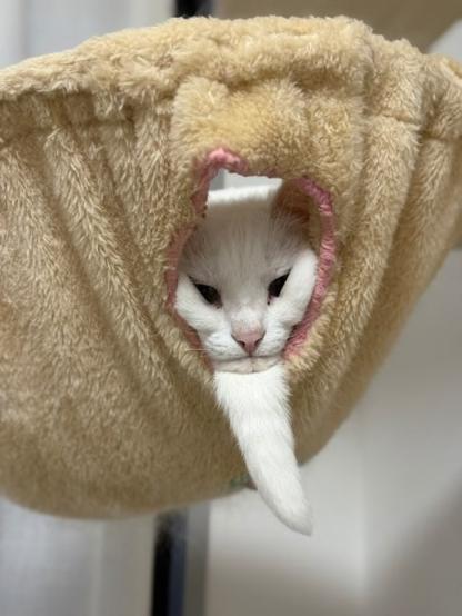 おたくま経済新聞
