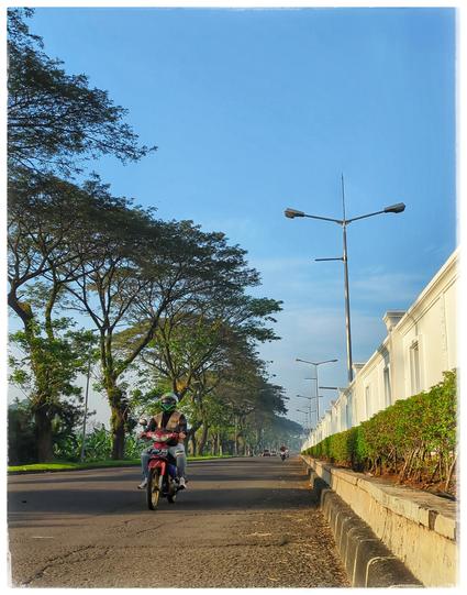 A road with a person on a motorbike. On the right some low bushes and a wall, on the left some trees.