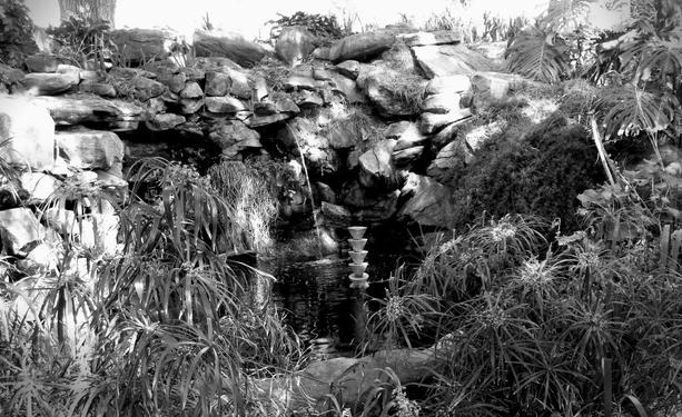 One of the many small water rockery areas (in black and white) of Veale Gardens (C)P.Gamble Photography