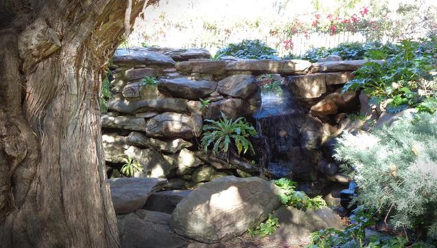 Another of the many small water rockery areas (in color) of Veale Gardens (C)P.Gamble Photography