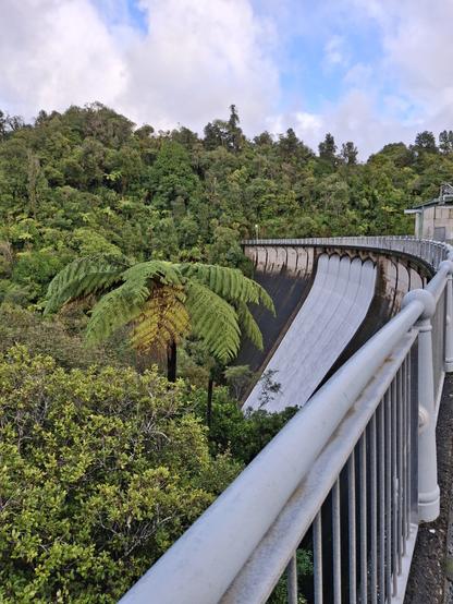 A dam spillway releasing excess water down the dam face. There are trees and ferns on the left and in the background.