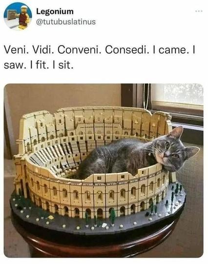 By Legonium
Veni. Vidi. Conveni. Consedi.
I came. I saw. I fit. I sit.

Tabby grey cat comfortably sleeping inside the LEGO Colosseum set.