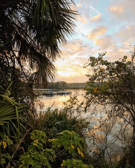 Tropical and colorful sunrise viewed through an opening between trees and overgrowth with a small marina in a waterway below.