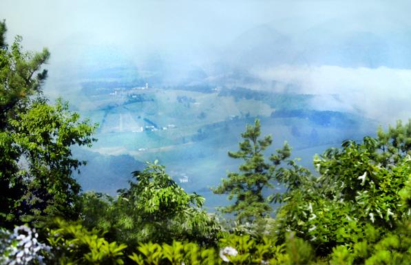 Looking out from a ridge crest down over the treetops to a fog-shrouded farming valley hundreds of feet below. There are large green fields broken by strips of forest, rural lanes and farm buildings.