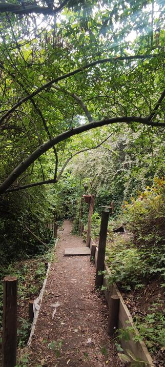 Passage étroit en terre battue bordé de poteaux en bois, serpentant sous une voûte feuillue dense ; la lumière filtre à travers les branches et crée un tunnel verdoyant presque secret