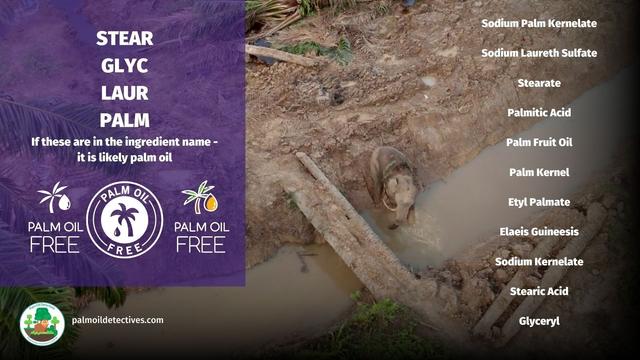 Wash your hands knowing it's not in #palmoil 🧐🫧 ALL PALM OIL is linked to #ecocide and #deforestation. "Sustainable" palm oil is a fat greasy #greenwashing lie. Learn how to go #PalmOilFree #BoycottPalmOil 🌴🩸☠️💩💰🚜🔥🚫#Boycott4Wildlife @palmoildetect.bsky.social https://palmoildetectives.com/2021/02/11/palm-oil-free-soap/?utm_source=mastodon&utm_medium=Palm+Oil+Detectives&utm_campaign=publer