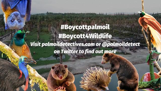 Wash your hands knowing it's not in #palmoil 🧐🫧 ALL PALM OIL is linked to #ecocide and #deforestation. "Sustainable" palm oil is a fat greasy #greenwashing lie. Learn how to go #PalmOilFree #BoycottPalmOil 🌴🩸☠️💩💰🚜🔥🚫#Boycott4Wildlife @palmoildetect.bsky.social https://palmoildetectives.com/2021/02/11/palm-oil-free-soap/?utm_source=mastodon&utm_medium=Palm+Oil+Detectives&utm_campaign=publer