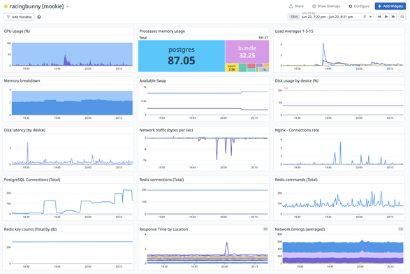 Datadog graphs showing a nice spike in resource usage across the board for a while.