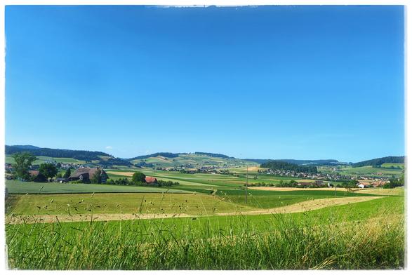 Green fields stretch across some small hills. Forest and house are scattered across the fields. Blue sky.
