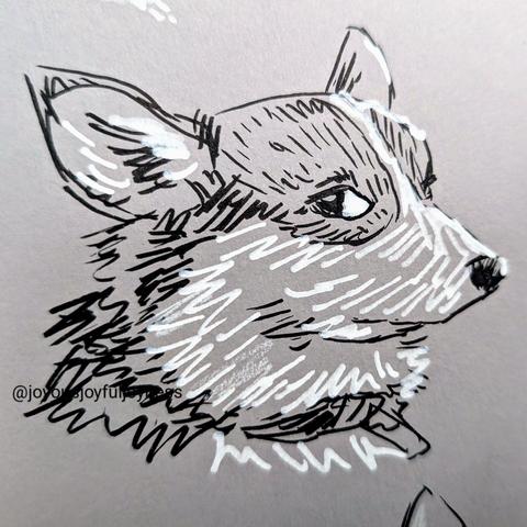 Black and white pen sketch on toned gray paper of a disapproving corgi giving side eye to the viewer.