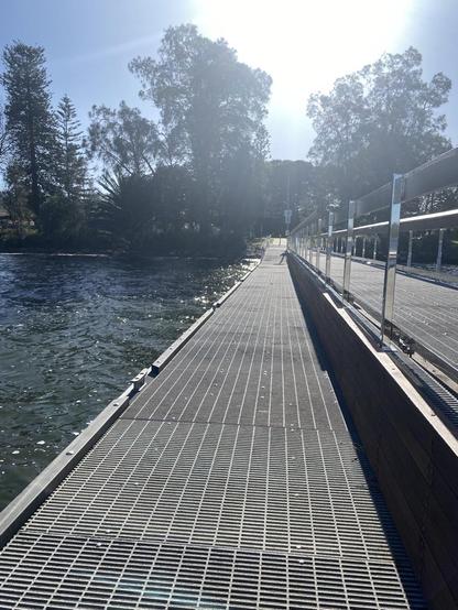 Looking along Speers Point jetty towards the trees lining the shore. The jetty has a lower level on the left almost touching the dark green water next to it. A metal railing separates the higher level of jetty decking from the lower. The jetty floor/decking is made of a light grey metal grid, presumably to let water run off easily with higher tides or flooding. Council have done a good job making the park and jetty accessible.