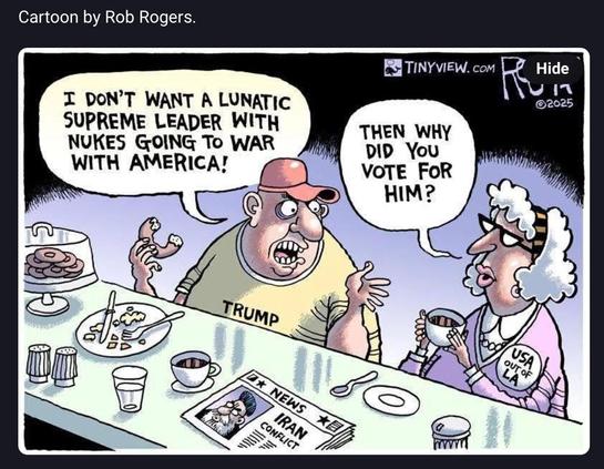 Screenshot of cartoon with maga couple in diner with open newspaper, headline -

“Iran Conflict” 

Man wearing trump t shirt says to woman wearing “USA out of LA” Badge 

“ I DON'T WANT A LUNATIC SUPREME LEADER WITH NUKES GOING TO WAR WITH AMERICA!”

Women says to man -

“ THEN WHY DID You
VOTE FOR HIM?”