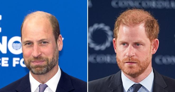 Prince Harry’s Friend Jaco van Gass Honored by Prince William
